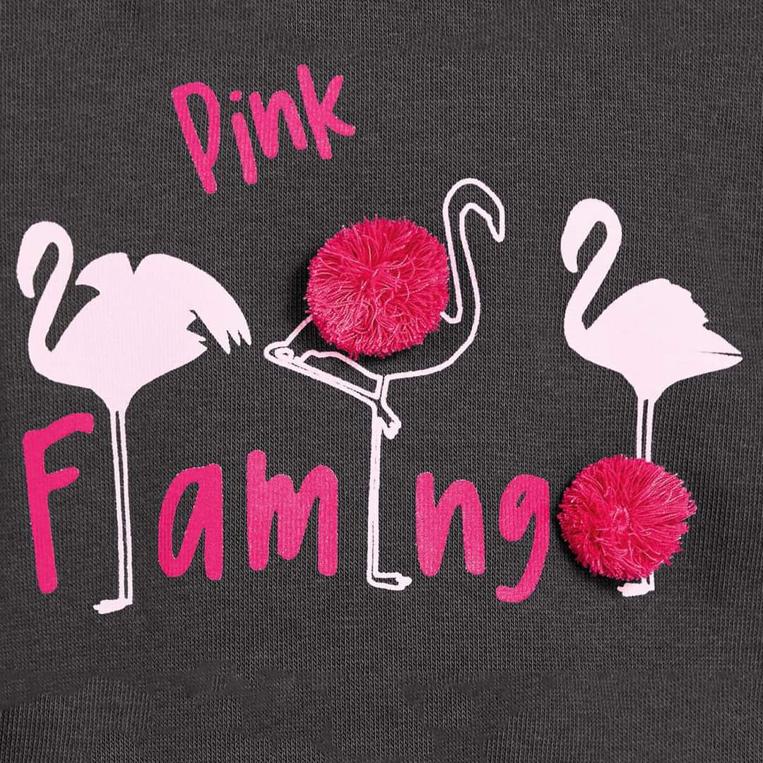 Lupilu Flamingo Sweat Dress