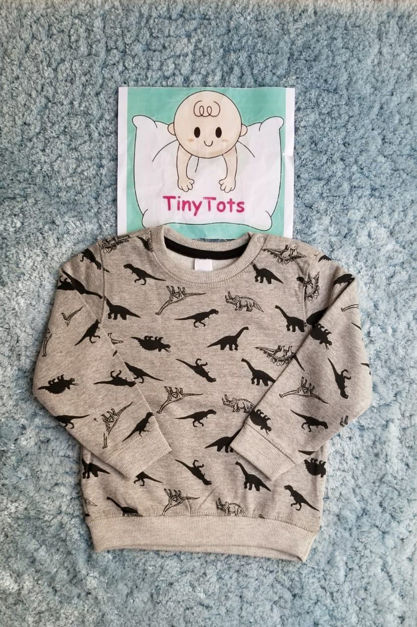 Infants Dinosuar Graphic Double Fleece Sweat Shirt