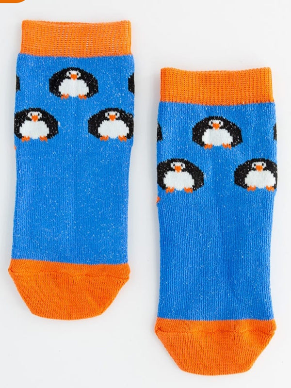 Penguin Graphic blue Crew socks  - P11