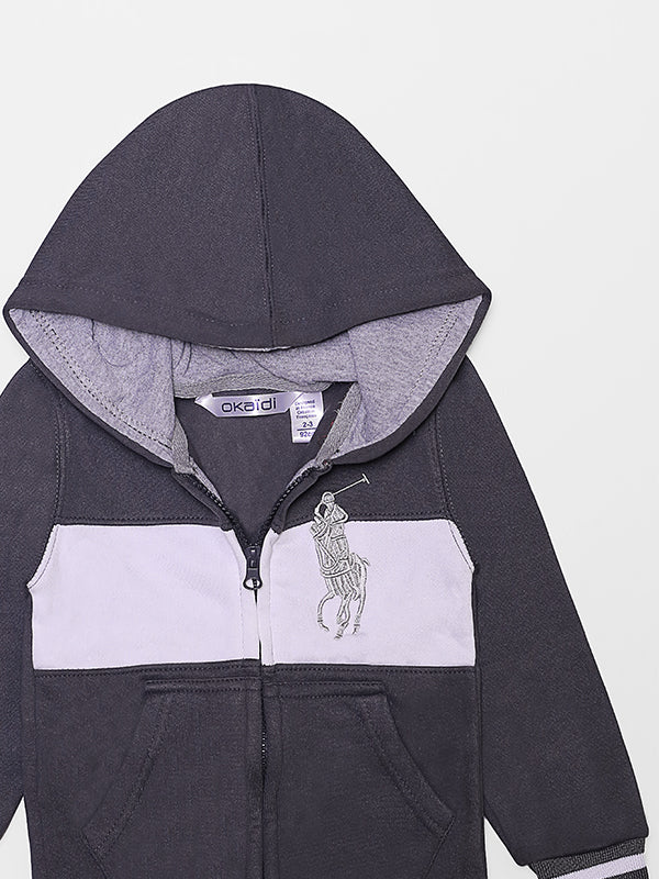 Polo Fleece Zipper Hoodie - Grey