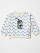 Zigzag Graphic Double Fleece Sweat Shirt